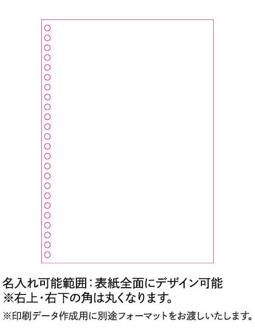 ꥸʥ󥰥ΡȡA6