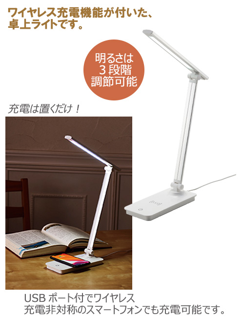 磻쥹ŵǽ饤