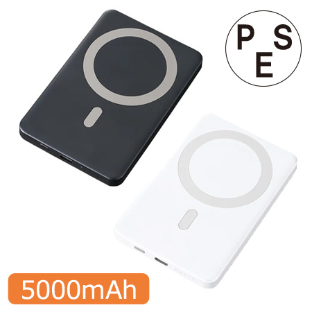 ޥͥåб磻쥹Х㡼㡼5000