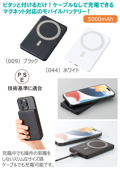 ޥͥåб磻쥹Х㡼㡼5000
