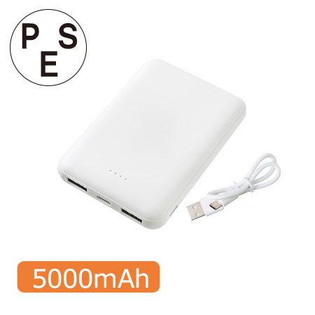 ݥåȥХåƥ꡼5000