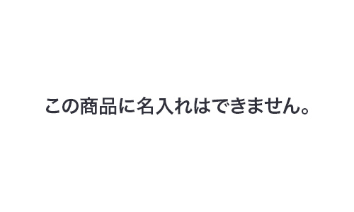 サッと使えるお掃除クロス10枚組 サッと使えるお掃除クロス10枚組