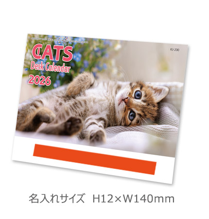 奫åȥǥʥǥޥɰߡ