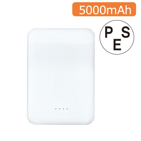 TYPE-CХХåƥ꡼5,000mAh