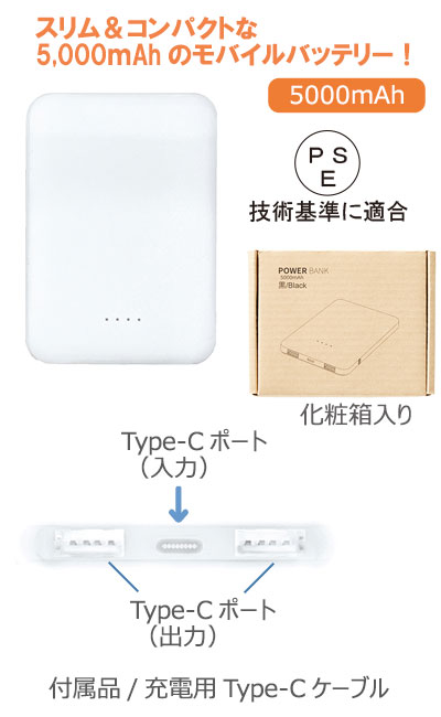 TYPE-CХХåƥ꡼5,000mAh