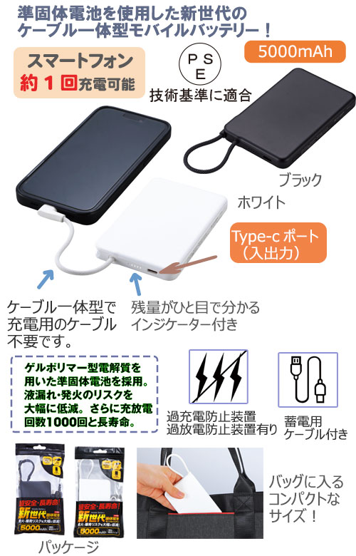 ������ �������ӥ�Х���Хåƥ꡼5000