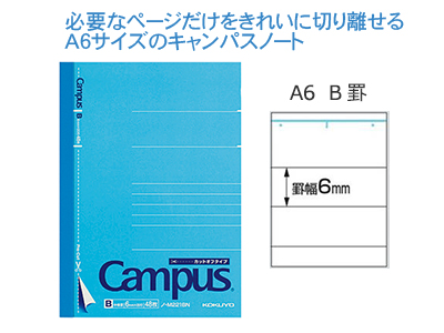 衡ѥåȥեΡA6沣