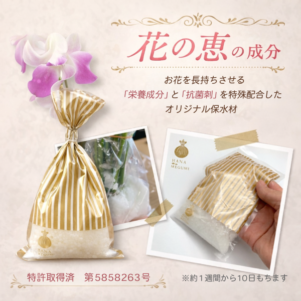 �֤ηäλȤ����β���