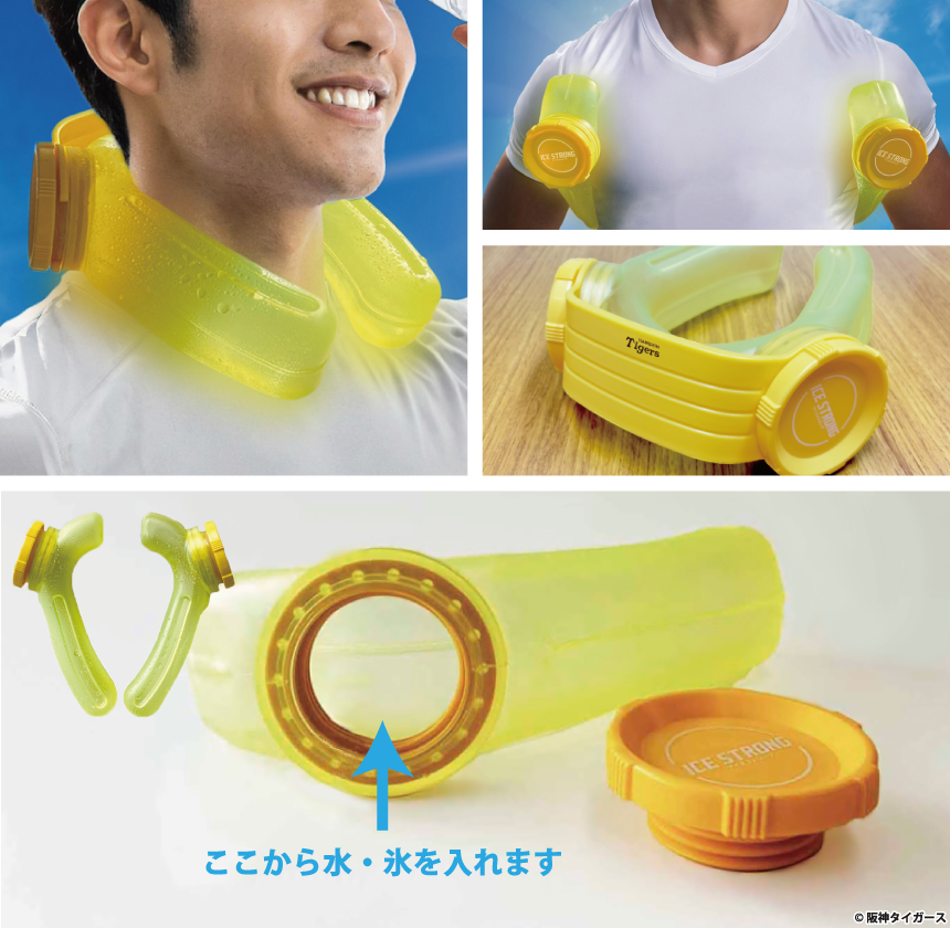 ��������������������ꥰ�å������������ȥ��󥰤β���